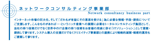 �l�b�g���[�N�R���T���e�B���O���ƕ�